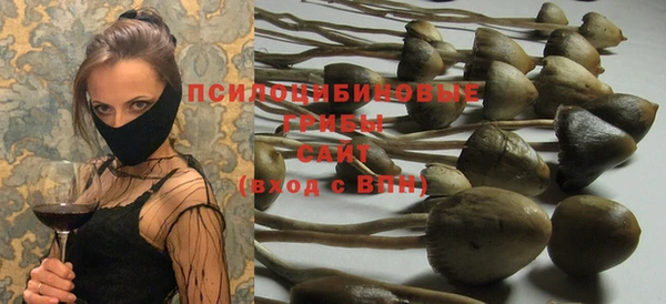 шишки Орехово-Зуево