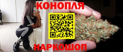 дживик Тара