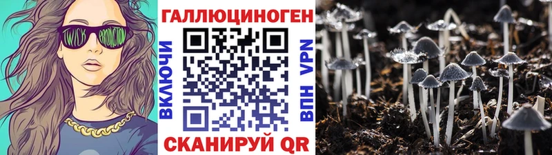 Псилоцибиновые грибы прущие грибы  Чернушка 