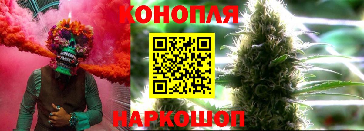 Канабис план Чернушка